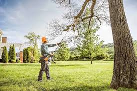 Best Leaf Removal  in Silver Ridge, NJ