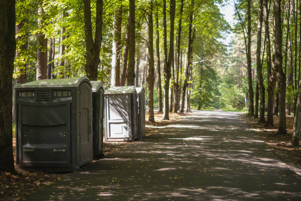 Best Utility Line Clearance  in Silver Ridge, NJ